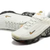 AIR MAX PLUS TN 3 ‘GREY GOLD BLACK’