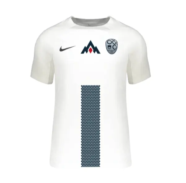Camiseta Eslovenia Eurocopa 2024 1ª equipación