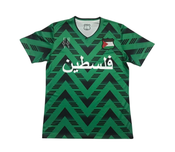 Camiseta Palestina Concepto