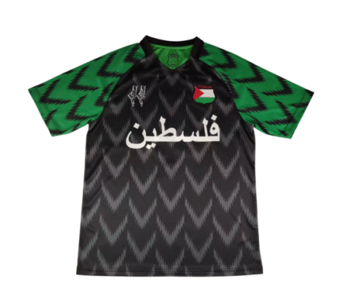 Camiseta Palestina Concepto